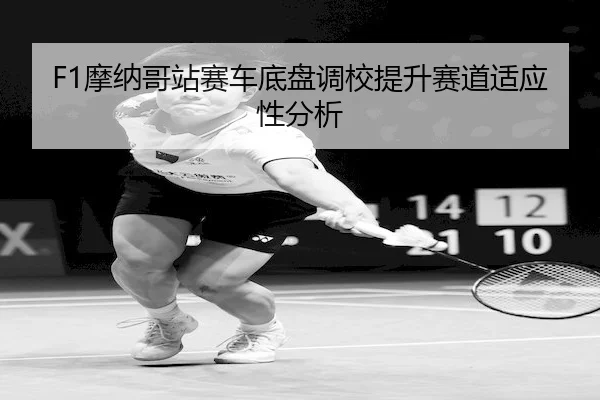 mo-na-ge-zhan-sai-che-di-pan-diao-xiao-ti-sheng-sai-dao-shi-ying-xing-fen-xi-2-495.jpg